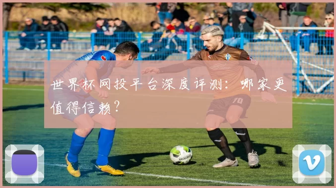 世界杯网投平台深度评测：哪家更值得信赖？