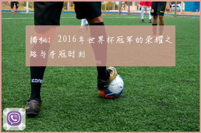 揭秘:2016年世界杯冠军的荣耀之路与夺冠时刻