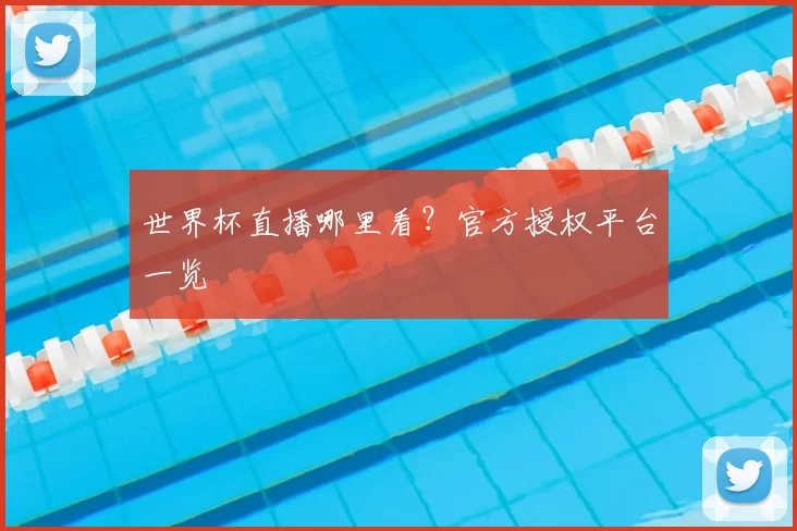 世界杯直播哪里看?官方授权平台一览