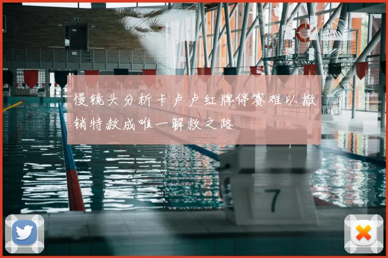 慢镜头分析卡卢卢红牌停赛难以撤销特赦成唯一解救之路