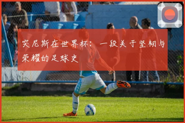 突尼斯在世界杯:一段关于坚韧与荣耀的足球史