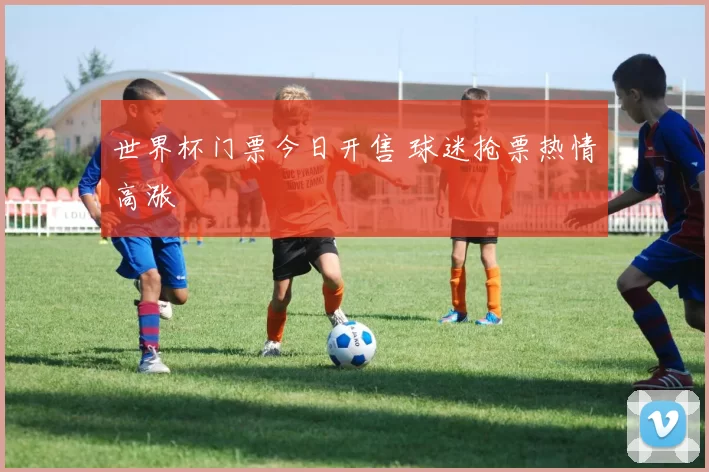 世界杯门票今日开售 球迷抢票热情高涨