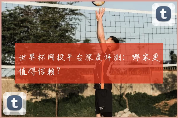世界杯网投平台深度评测:哪家更值得信赖?