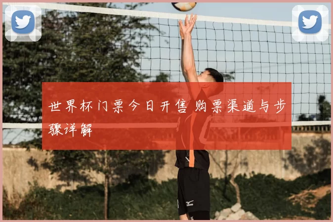 世界杯门票今日开售 购票渠道与步骤详解